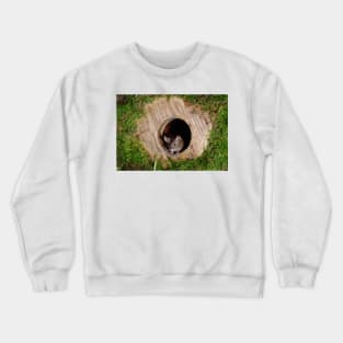 Mouse in a mossey hole Crewneck Sweatshirt